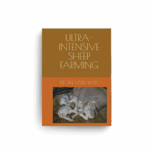Ultra-intensive sheep farming (Paperback)